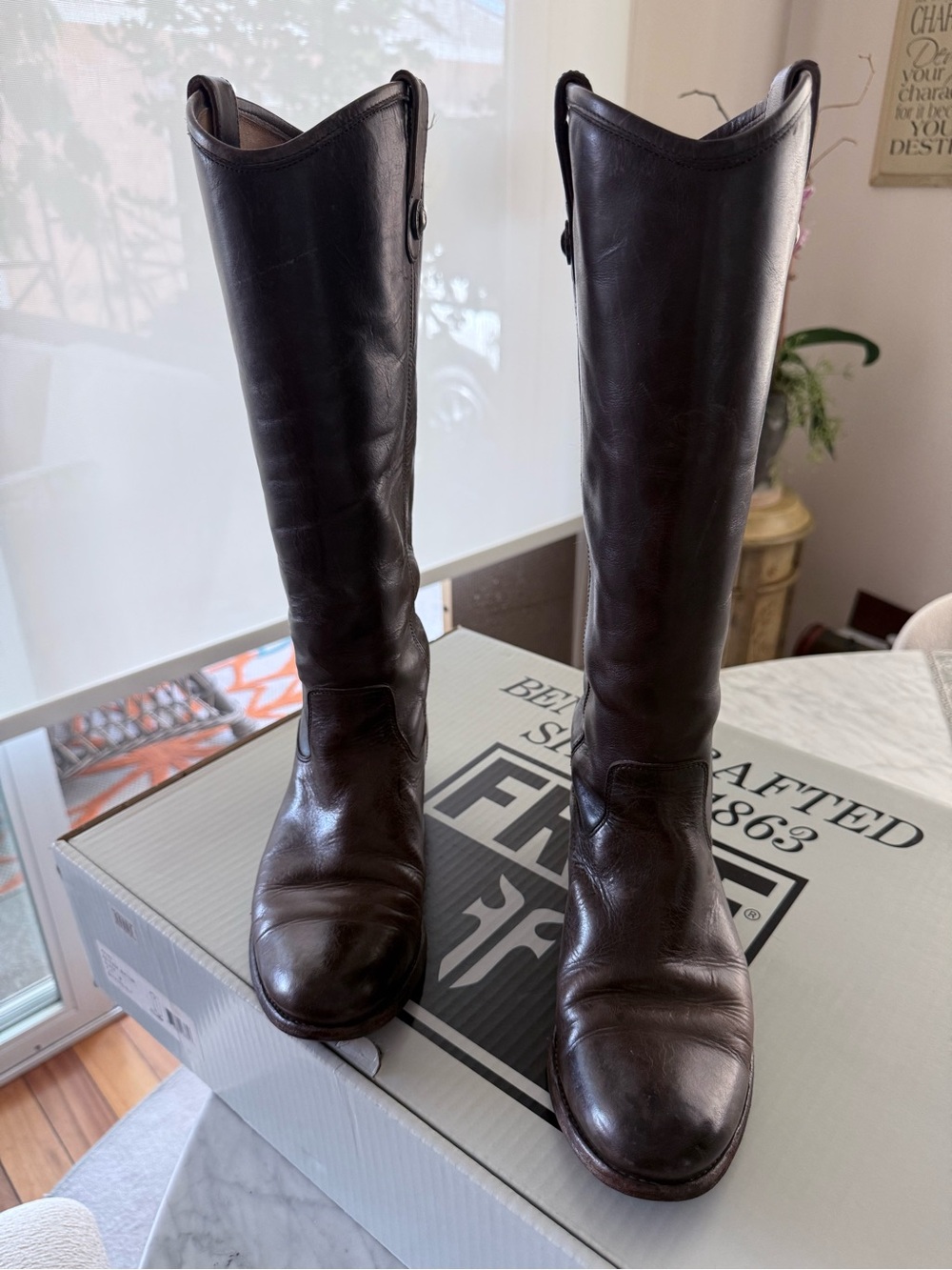 Frye Women's Over-the-Knee Leather Boots in Dark Brown
